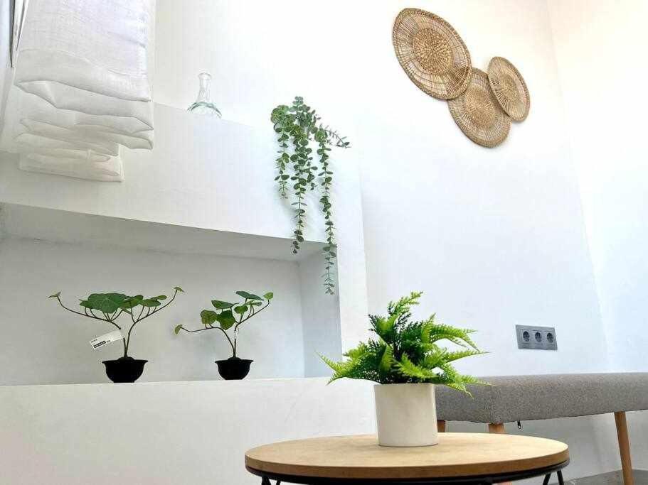 Apartamento Nuevo Centro Historico De Málaga Kültér fotó
